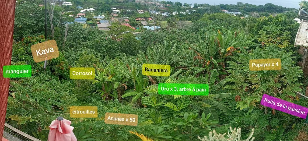 Manava Tahara'A Home Stay Mahina Luaran gambar