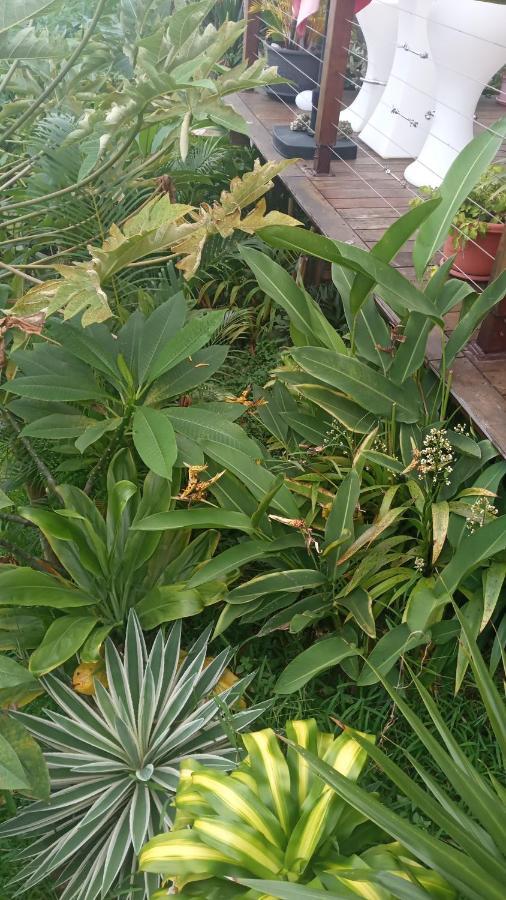 Manava Tahara'A Home Stay Mahina Luaran gambar